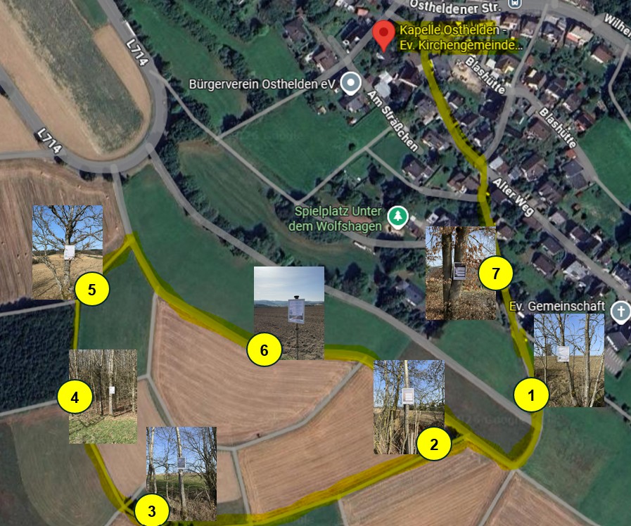 Stationenweg Osthelden — Wegweiser im Freien